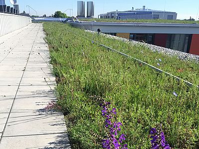 Schulzentrum Margarete-Danzi-Str., München